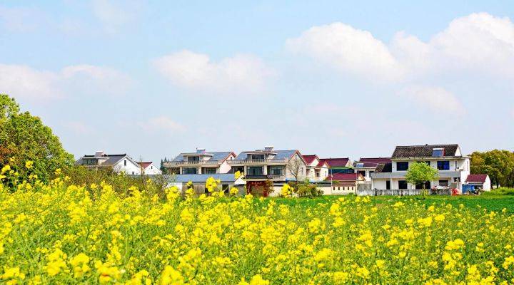 河南焦作市發文推進農村人居環境整治、農村污水治理、黑臭水體治理